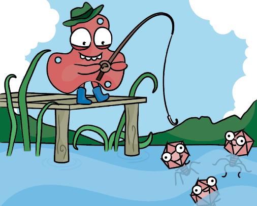 A molecular decoy for phage defence