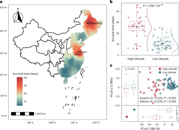 Available phosphorus and opportunistic pathogens drive geographic variation in Escherichia coli O157:H7 survival in soils across eastern China