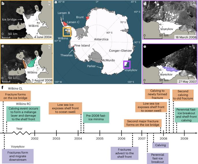 Large-scale ice-shelf calving events follow prolonged amplifications in flexure