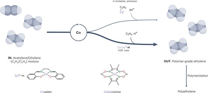 A radical way to ethylene
