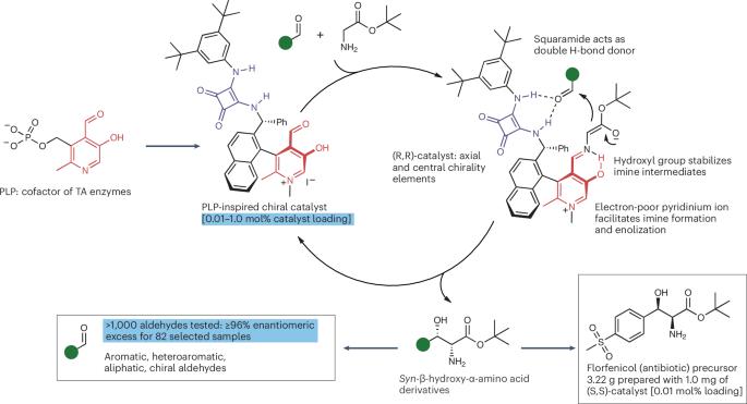 Biomimetic aldol reaction of glycinate