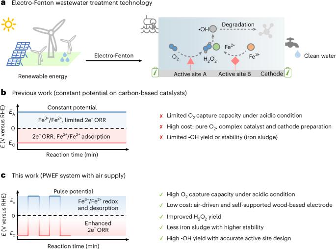 Pulse-driven electrocatalysis with engineered wooden electrode for high-efficiency, energy-saving and sustainable water treatment