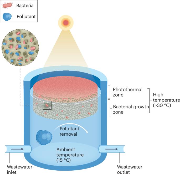 Solar-enhanced biological wastewater treatment