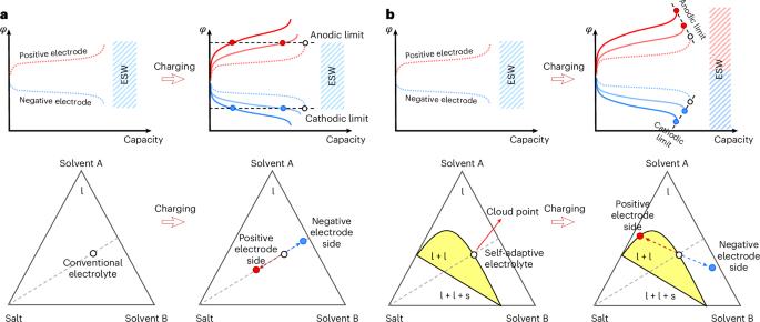 Self-adaptive electrolytes for fast-charging batteries