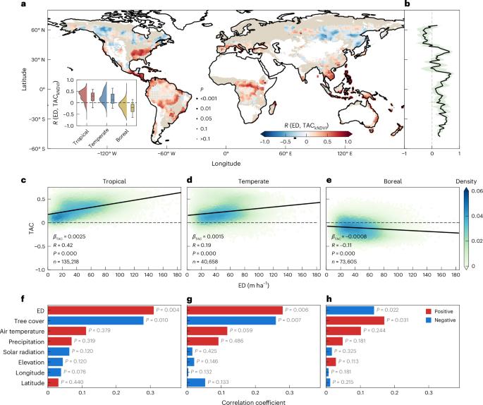 Pervasive but biome-dependent relationship between fragmentation and resilience in forests