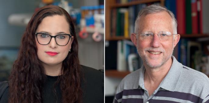 Q&A with Yael David and Charles Rice on using chromatin biology to understand hepatitis