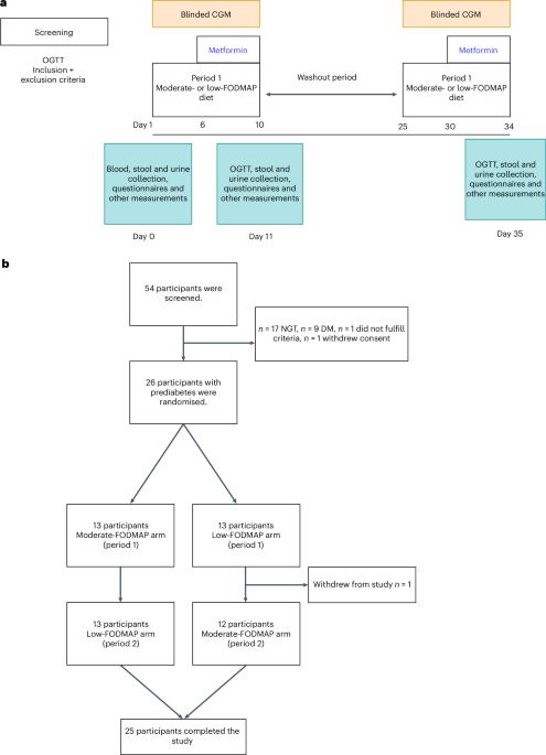 Combining a diet rich in fermentable carbohydrates with metformin improves glycaemic control and reshapes the gut microbiota in people with prediabetes