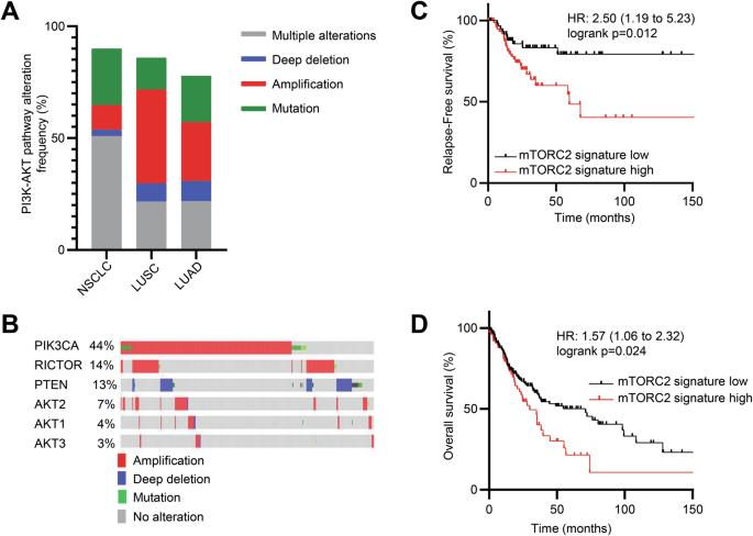 Targeting mTORC2 in lung squamous cell carcinoma improves anti-tumor immunity through the PSGL-1-VISTA axis