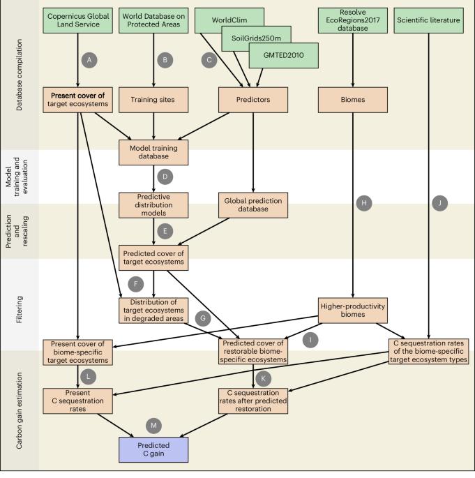 Limited carbon sequestration potential from global ecosystem restoration