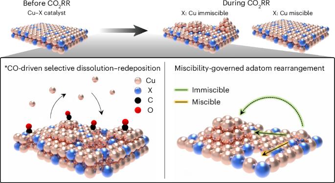Unveiling the reconstruction of copper bimetallic catalysts during CO2 electroreduction