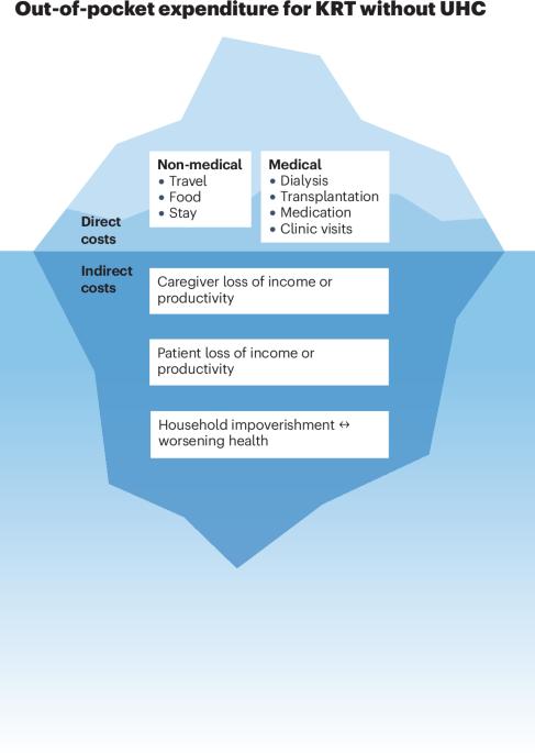 The catastrophic costs of chronic kidney disease
