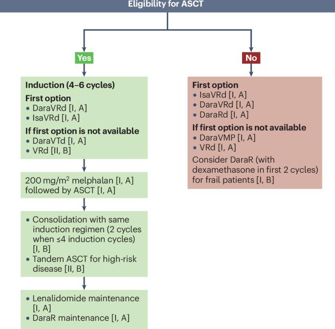 EHA–EMN Evidence-Based Guidelines for diagnosis, treatment and follow-up of patients with multiple myeloma