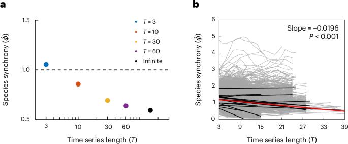 The length of time series affects patterns of species synchrony