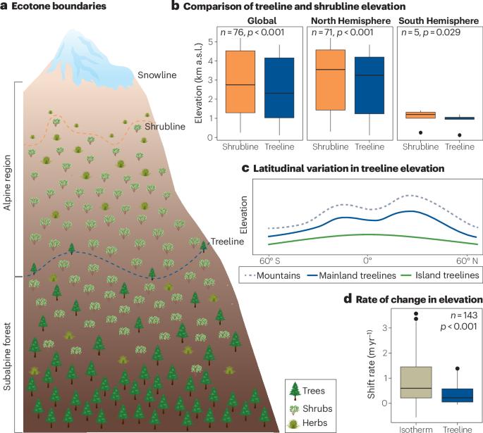 Patterns, dynamics and drivers of alpine treelines and shrublines