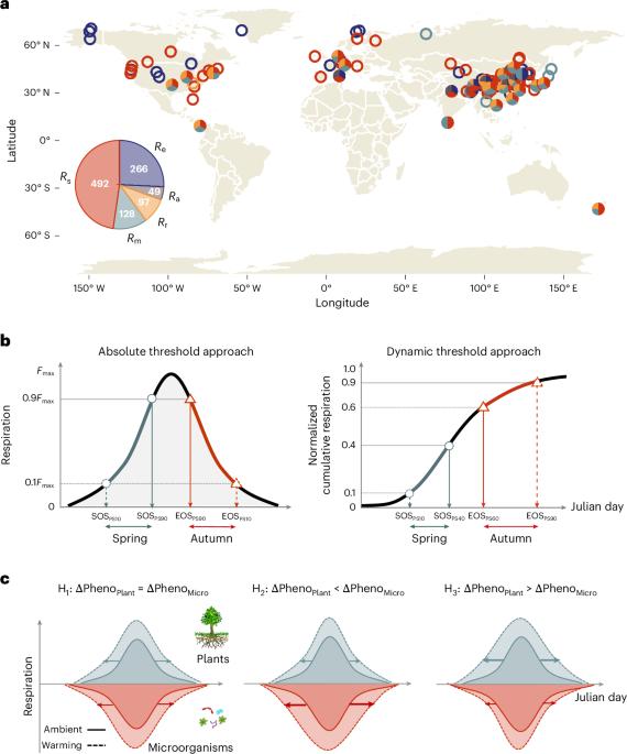 Divergent phenological responses of soil microorganisms and plants to climate warming