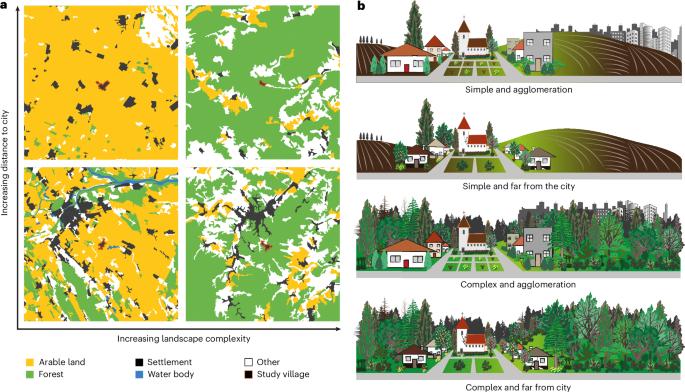 Biodiversity and human well-being trade-offs and synergies in villages