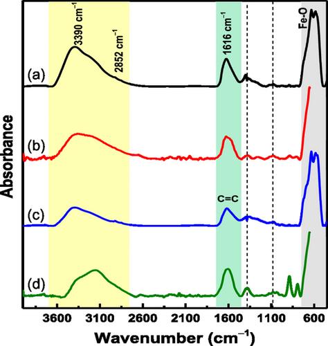 Tuning the Fe-Oxide Nanoparticle Properties by Playing with Salt Precursors and Camellia sinensis Extract Concentrations