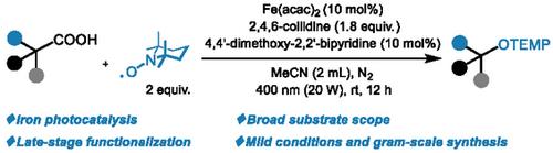 Photocatalytic Decarboxylation of Carboxylic Acids by Iron Catalysis for the Construction of C(sp3)O Bonds under Visible Light