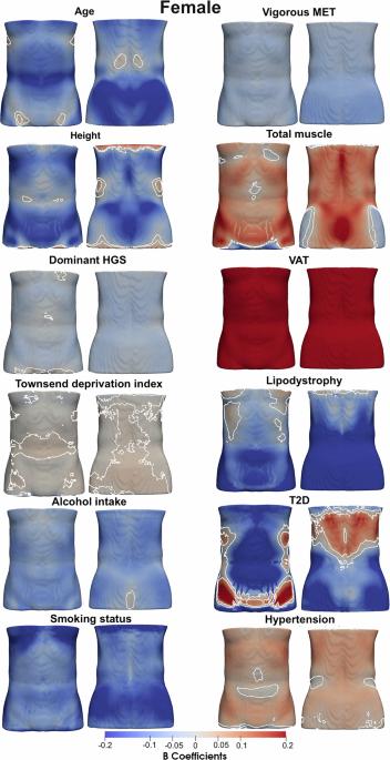 Changes in abdominal subcutaneous adipose tissue thickness associate with disease and anthropometric factors