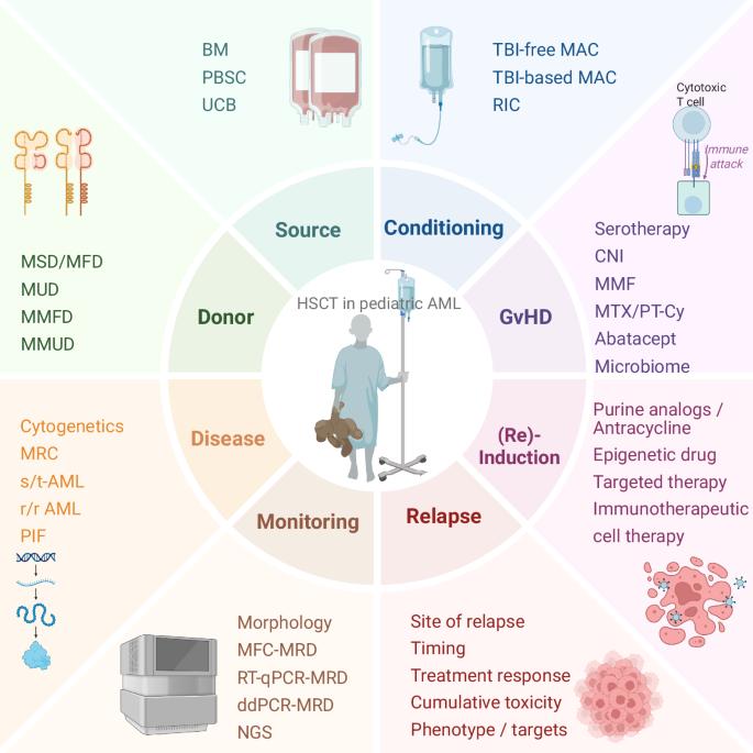 The hallmarks of hematopoietic stem cell transplantation for pediatric acute myeloid leukemia