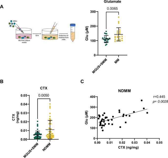 High glutamate levels in the bone marrow of multiple myeloma patients promote osteoclast formation: a novel target for osteolytic bone disease