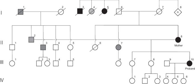 Hidden SVA retrotransposon insertion in BRCA1 revealed by nanopore targeted sequencing causes hereditary breast and ovarian cancer