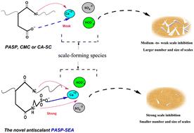 Novel eco-friendly antiscalant for major inorganic scaling control: laboratory tests and scale-up in a pilot RO unit†