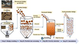 The rapid start-up of AGS by inoculating seed granular sludge in treatment of industrial park wastewater: performance evaluation and structural characterization†