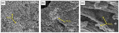 Unveiling the Impact of Fe2O3/N-Doped Reduced Graphene Oxide Negative Electrode on the Electrochemical Performance of the Highly Stable Asymmetric Supercapacitors