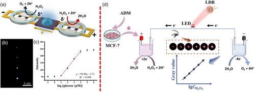 Light-Emitting Diodes as Wireless Optical Transducers of Chemical Information