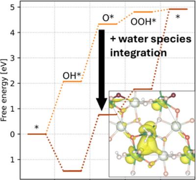 Iridium-Doped Monoclinic Zirconia as a Catalyst for the Oxygen Evolution Reaction