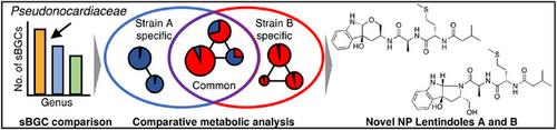Harnessing the Biosynthetic Diversity of Actinomycetes: Discovery of Unique Natural Products Through Comparative Genomic and Metabolic Analysis