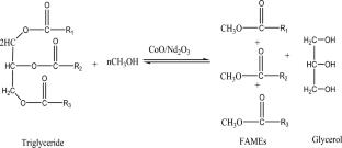 Fatty acid methyl esters production via transesterification of triglycerides from non-edible oil using newly synthesized heterogeneous CoO/Nd2O3 nanocomposite
