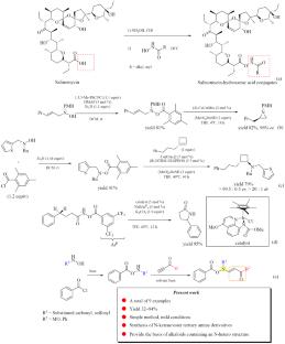 Synthesis of N-Benzoxyamine-derived Tertiary Amines from Hydroxylamine via the Nucleophilic Addition Reaction