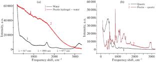 Formation of Complexes in Polysaccharide Hydrogels according to Raman Spectra in Liquid and Dried Pectin Gel