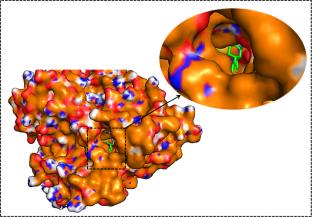Synthesis, Antimicrobial, Anti-Inflammatory, Antioxidant Activities, Molecular Docking, and Dynamic Simulations with Lanosterol 14α-Demethylase of Propionyl Glucopyranoside Derivatives