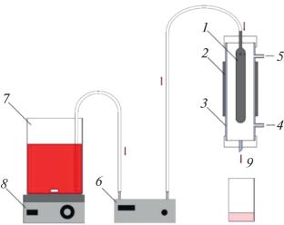 Sorption-Catalytic Increase of Rhodamine B Dye Destruction Efficiency in Barrier Discharge Plasma by Zeolite NaX and Diatomite Granules with TiO2 Coating