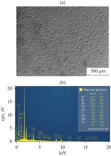 Studies on the Surface Morphology and Chemical Durability of Borosilicate Glass with Uranium and Rare Earths