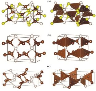 High-Density Ultrahard Novel Orthorhombic Carbon Allotropes C12 and C16 with Physical Properties Close to Diamond: Structural and DFT Investigations