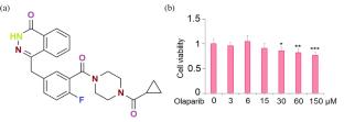 Olaparib Stimulates the Senescence of Ovarian Cancer Cells by Inhibiting SIRT1