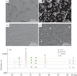 Tribological Characteristics of BrAMts9-2/W Composites Obtained by Means of Friction Stir Processing