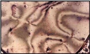Abstract Image