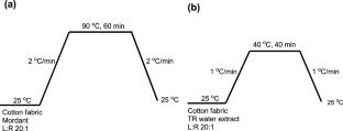 Enhancing the Dyeing and Color Fastness Properties of Cotton Fabric Dyed with Curcumin: A Sustainable Double Mordanting Approach Using Waste-Derived Biomordants