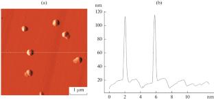 Substructure of β-SiC Films Synthesized on the Surface of Vacuum and Air Cleavage of Mono-Si