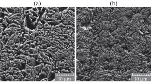Effect of Diamond Abrasive Processing Conditions on the Structure of the Damaged Layer of a Diamond Single Crystal
