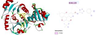 Synthesis, Biological Evaluation, and Molecular Docking Studies of Hexahydro-1H-xanthene-1,8(2H)-dione and 1,2,3-Triazole Hybrids as Potent Free Radical Scavengers