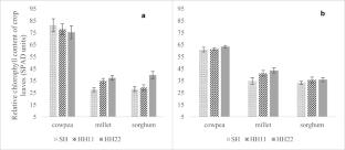 Influence of Eucalyptus camaldulensis Dehnh on the growth, productivity and physiology of three associated crops in the Sudano-Sahelian zone of Burkina Faso, West Africa
