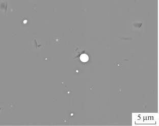 Extraction of Platinum from Silicate Melt in a Direct Current Ore-Thermal Furnace