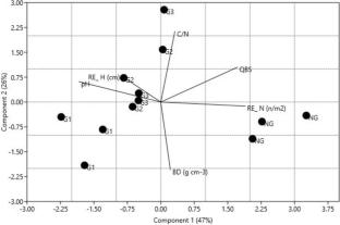 Impacts of semi-extensive grazing of Maremma cattle on a Mediterranean agroforestry ecosystem