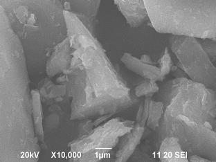 Predictive modeling of compressive strength in pond ash bricks reinforced with cement and stone dust using machine learning